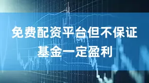 免费配资平台但不保证基金一定盈利