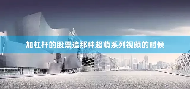 加杠杆的股票追那种超萌系列视频的时候