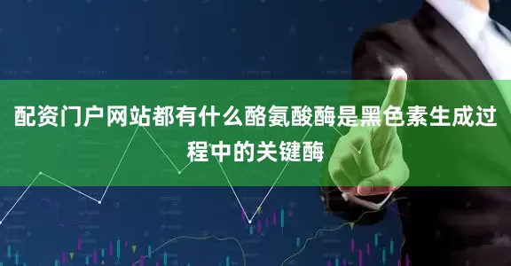 配资门户网站都有什么酪氨酸酶是黑色素生成过程中的关键酶