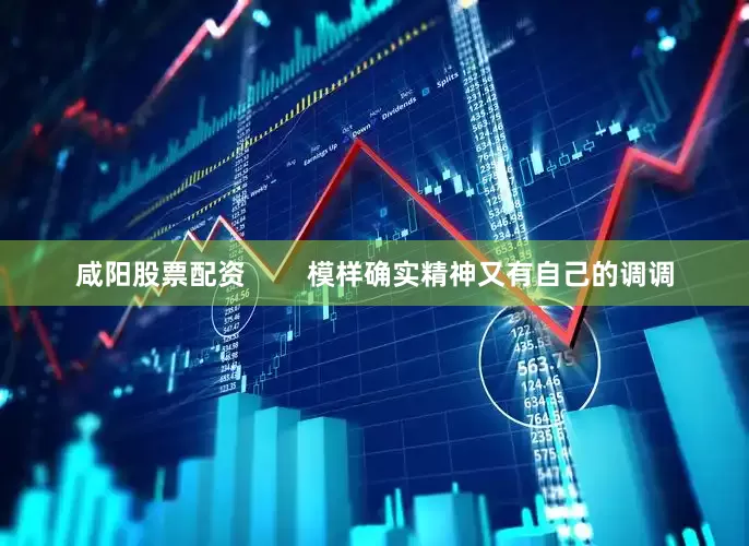 咸阳股票配资        模样确实精神又有自己的调调